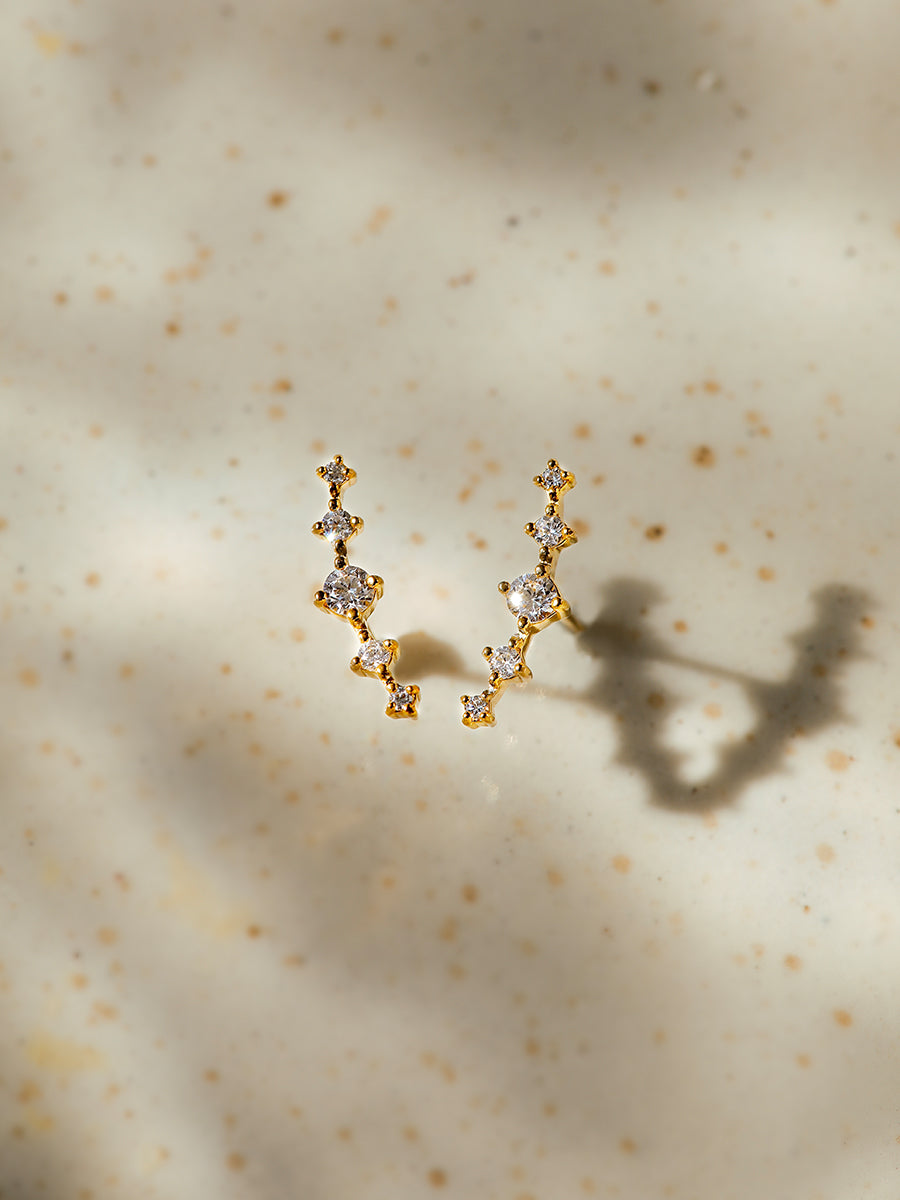 Romantic Stardust Ohrringe