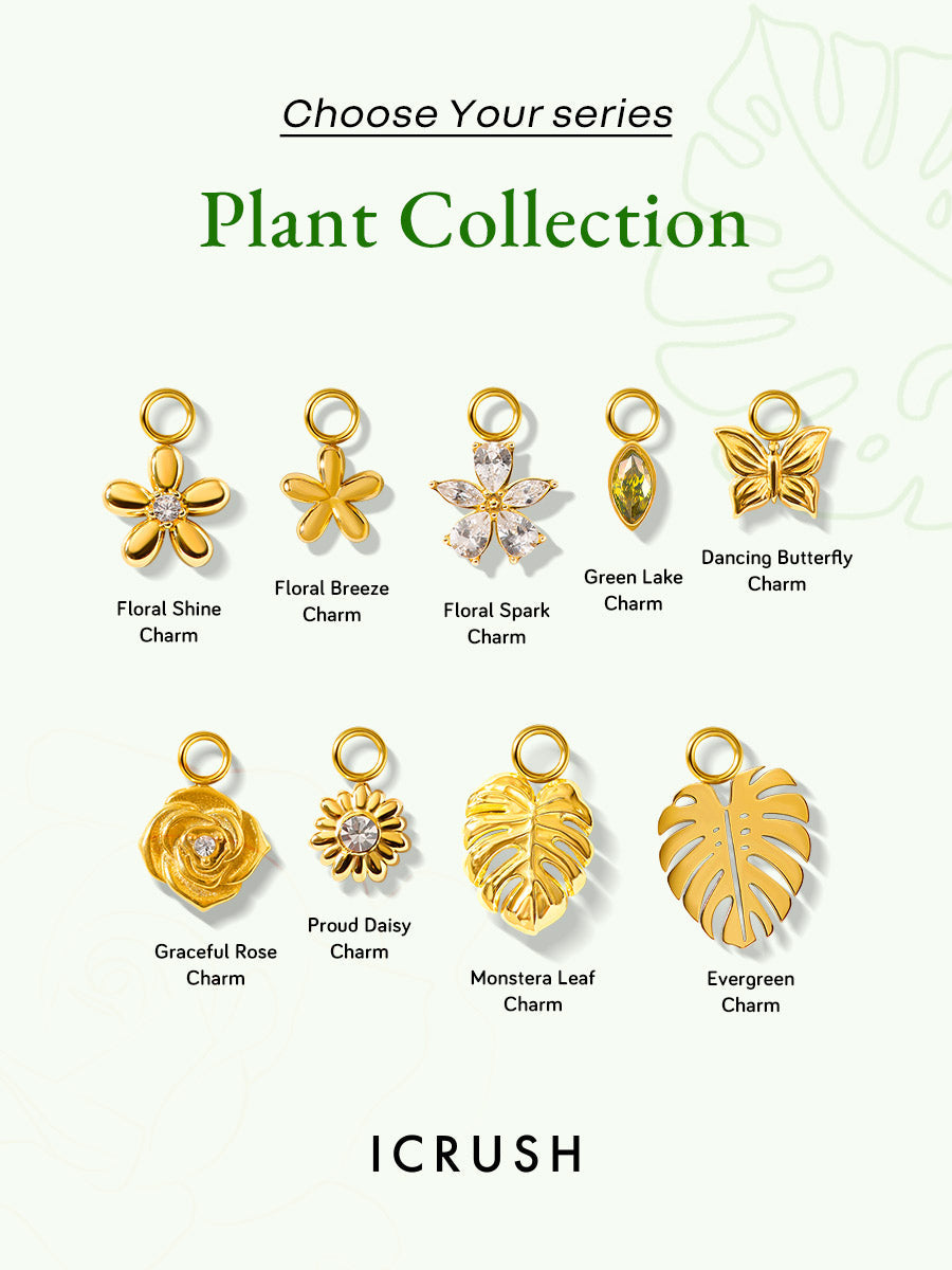 Large Hoops & Ohrring-Charms Bundle