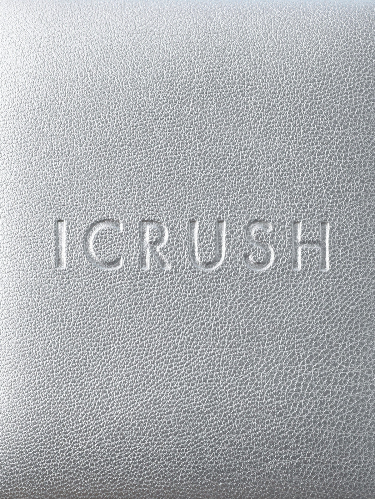 ICRUSH Travel Case Silver