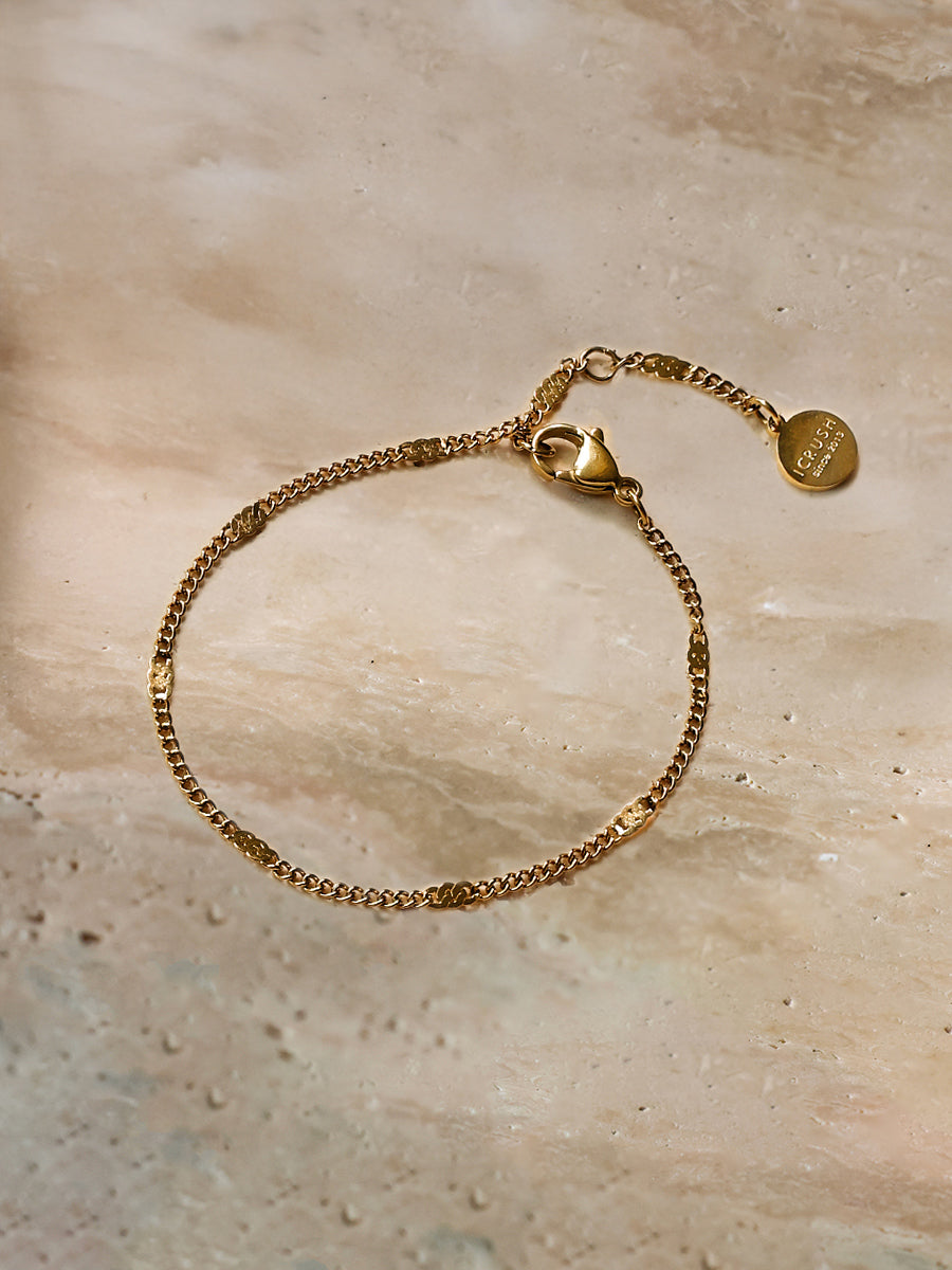 Segment Shine ARMBAND