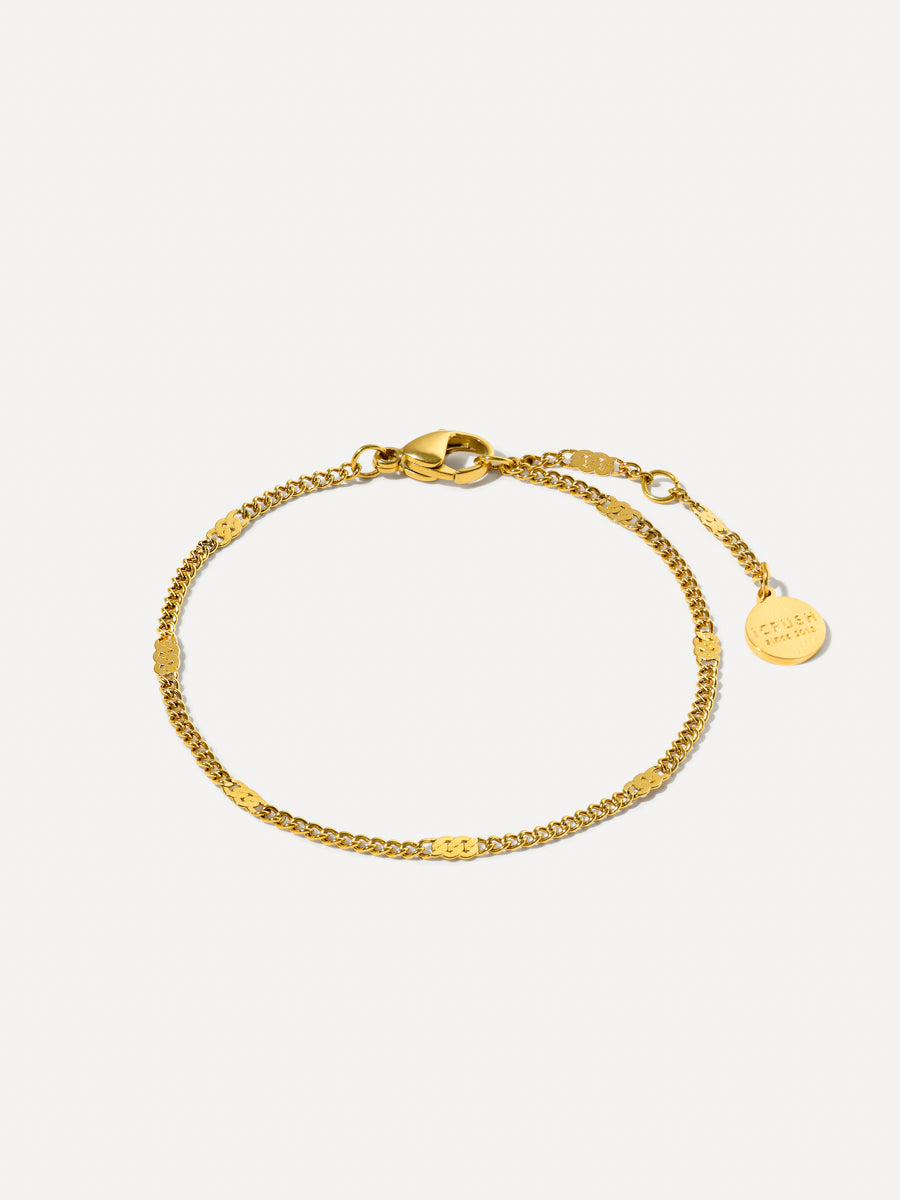 Segment Shine ARMBAND
