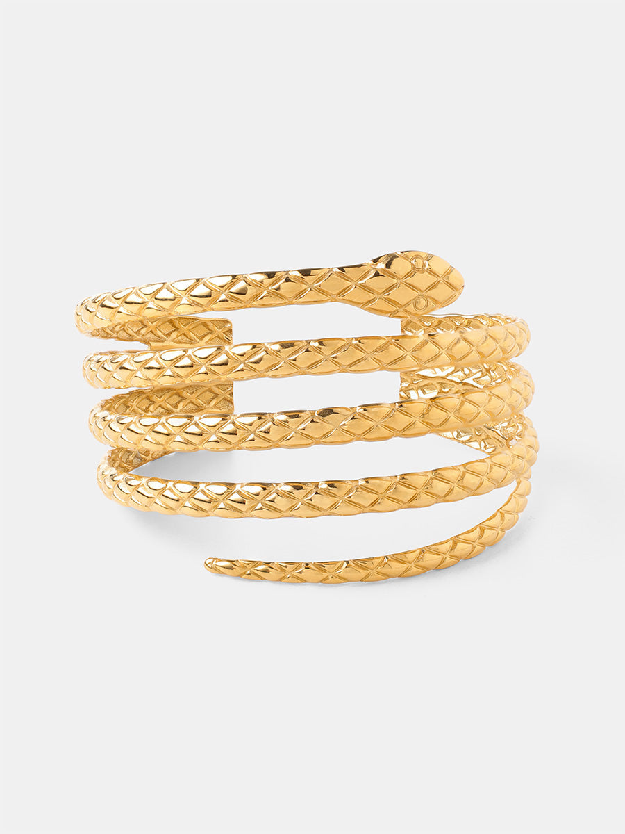 Mysterious Snake Armcuff