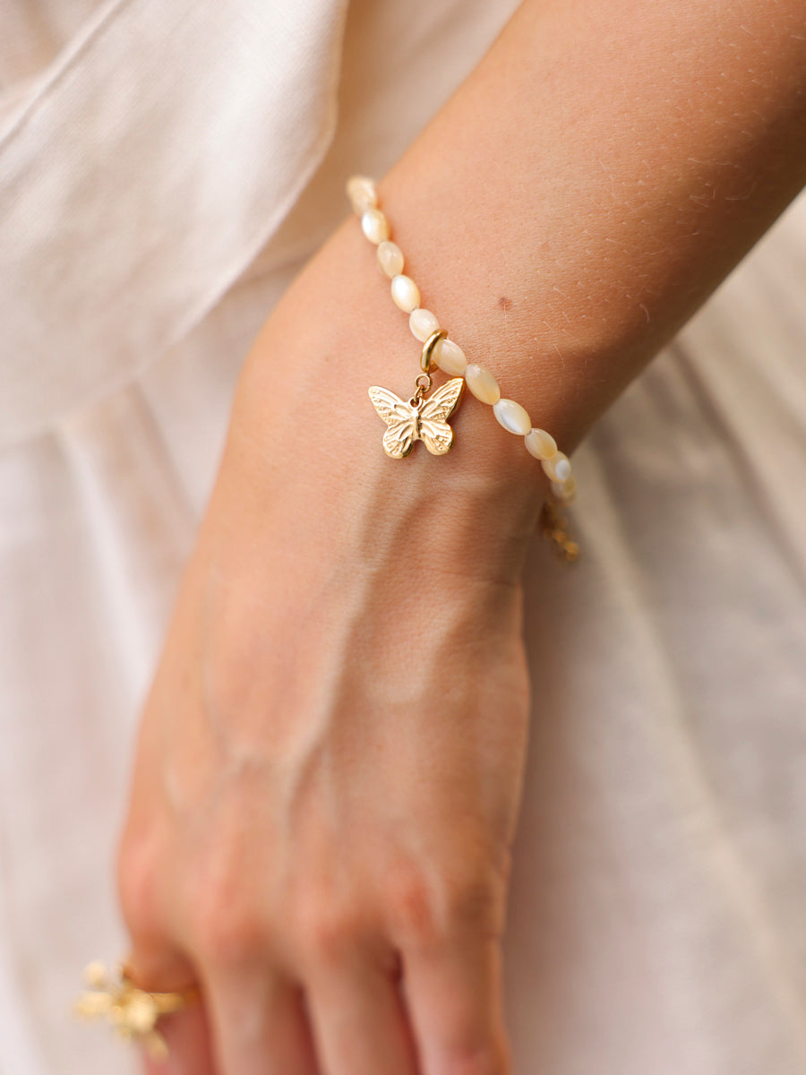 Sea Shell Set