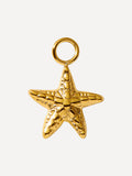 12x12mm Bubbly Starfish Ohrring-Charm