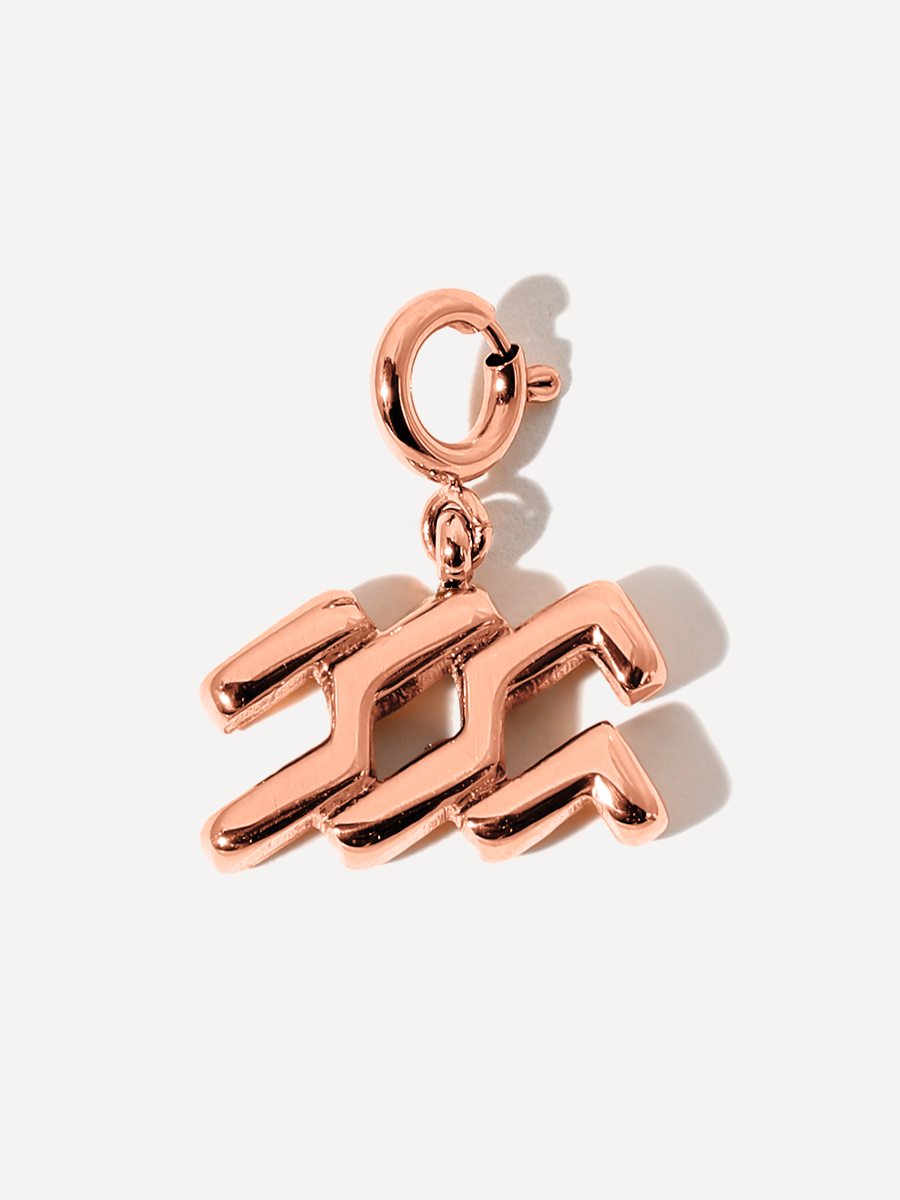 Classic Zodiac Ketten-Charm - Aquarius