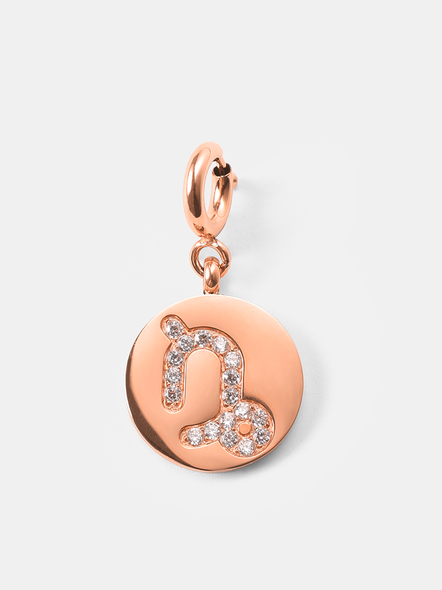 Twinkling Zodiac Ketten-Charms