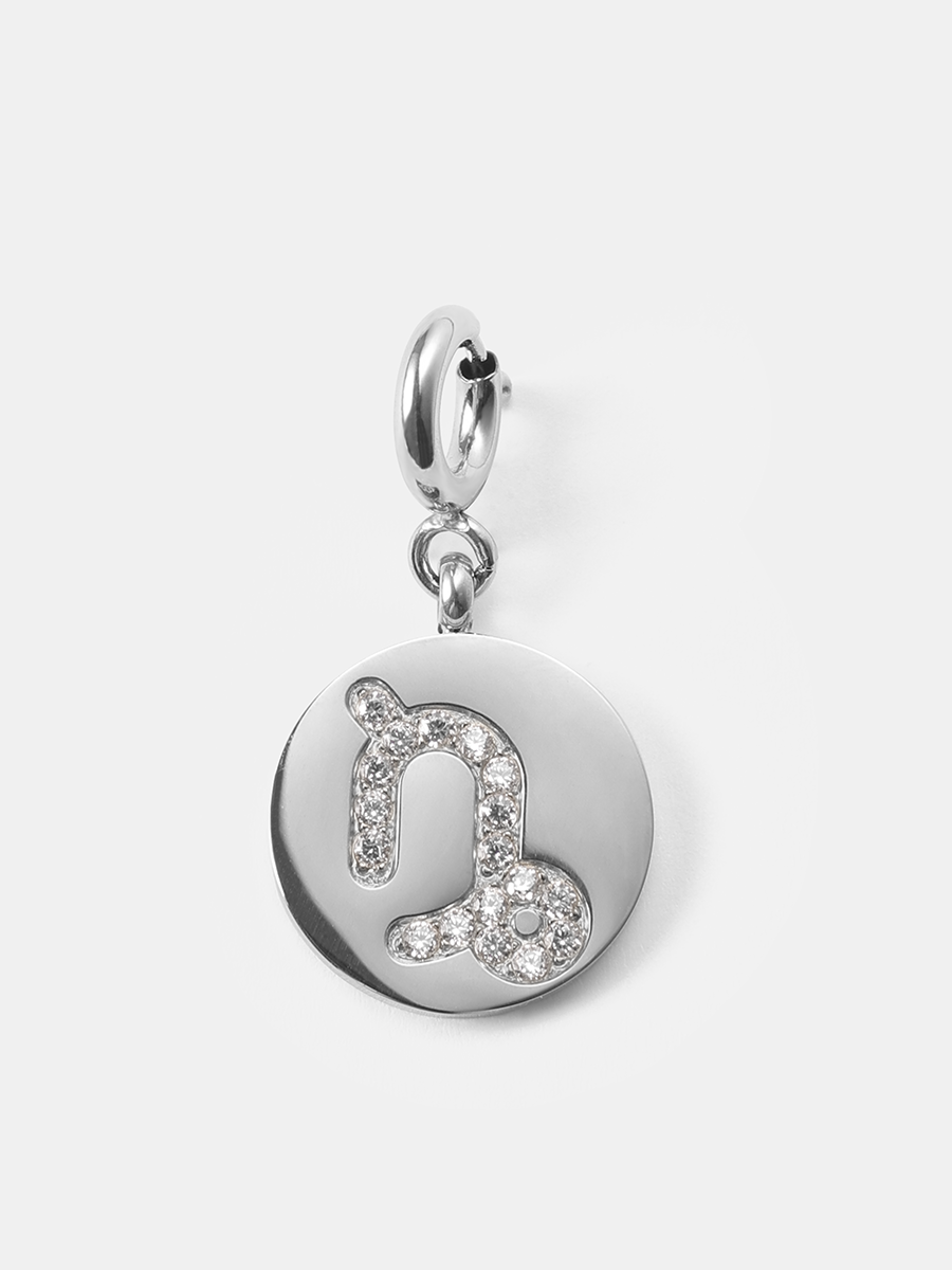 Twinkling Zodiac Ketten-Charms