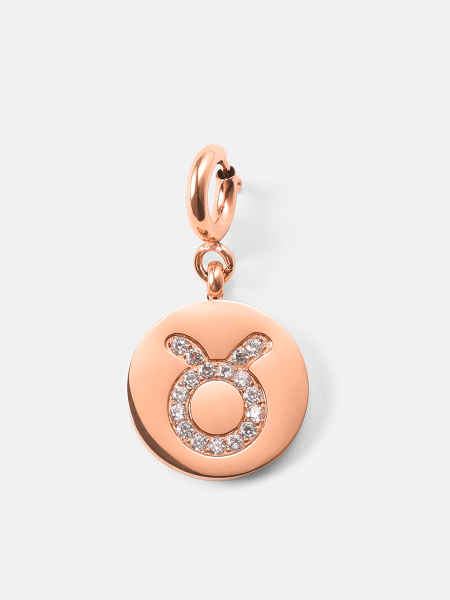 Twinkling Zodiac Ketten-Charms