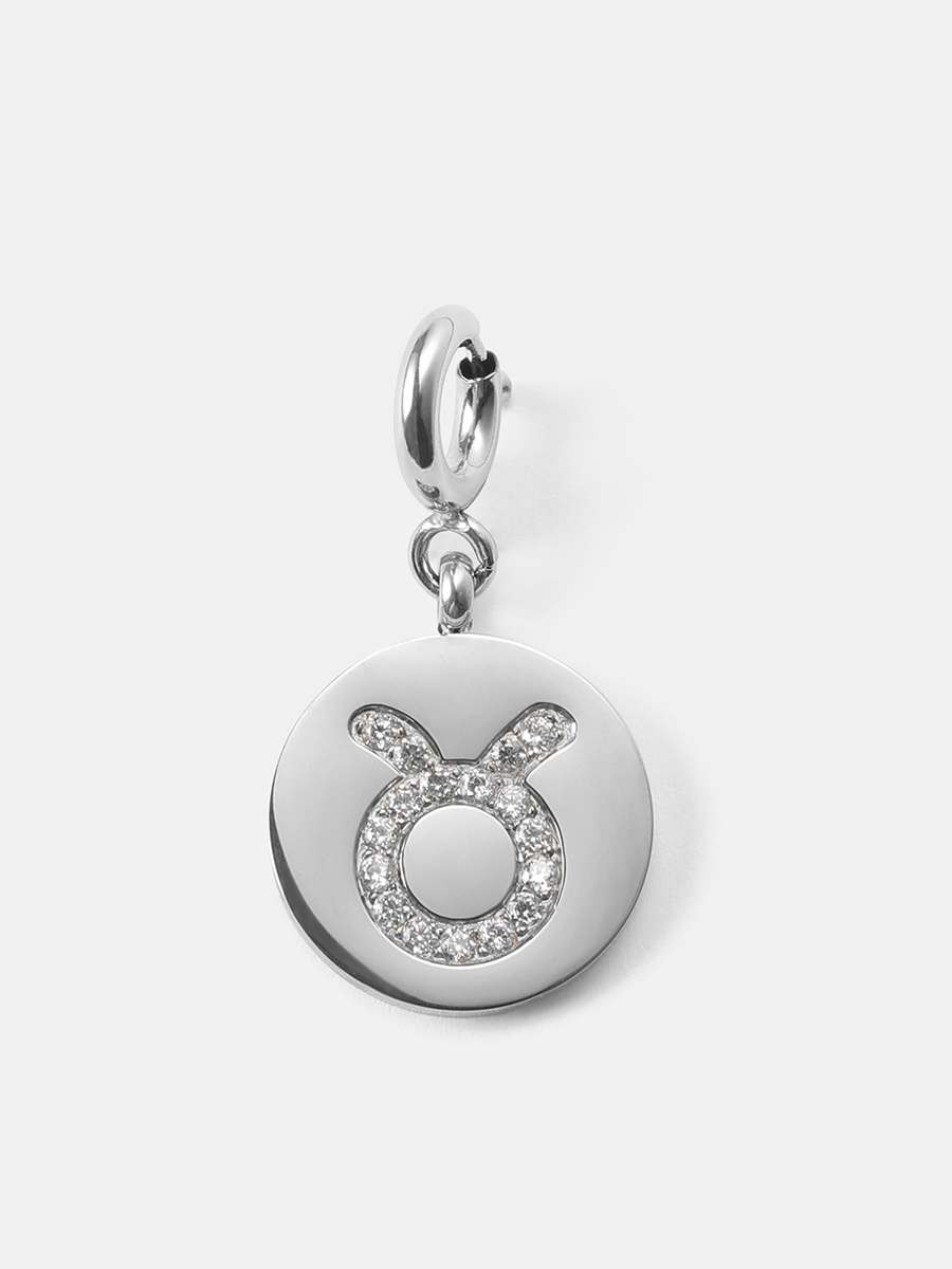Twinkling Zodiac Ketten-Charms