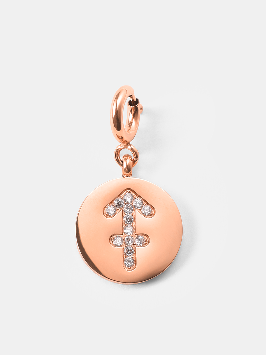 Twinkling Zodiac Ketten-Charms