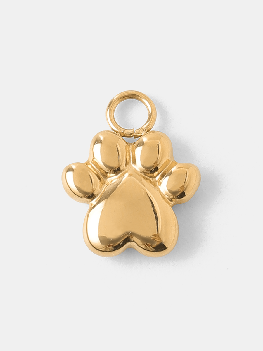 Cute Claw Ohrring-Charm