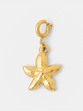 Coast Star Ketten-Charm