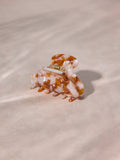 Dreamy Vibe Haarklammer Caramel Color