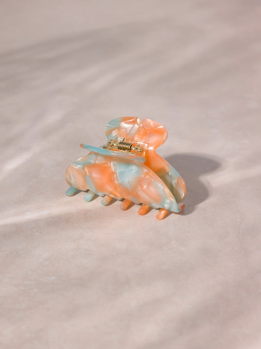 Dreamy Vibe Haarklammer Peach Blue
