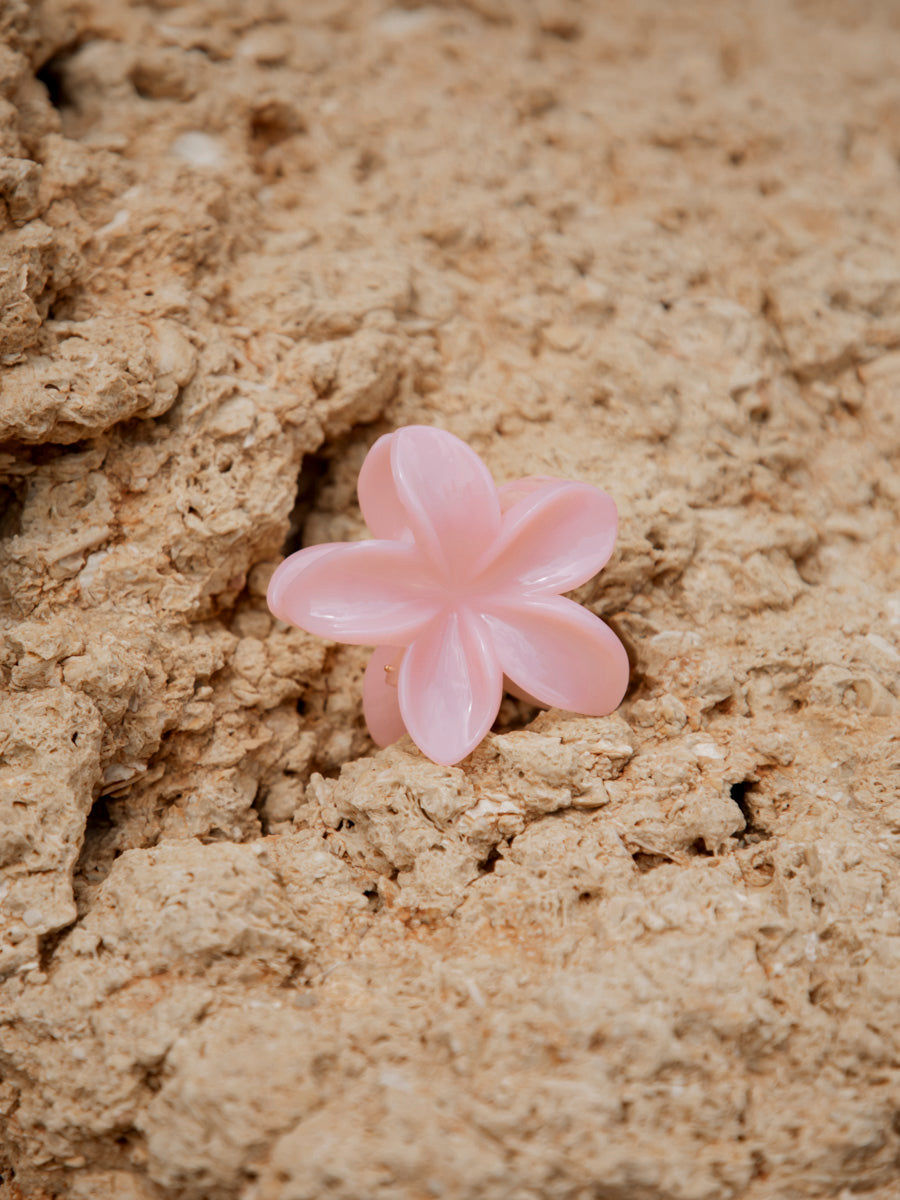 Floral Bliss Haarklammer Cream Pink