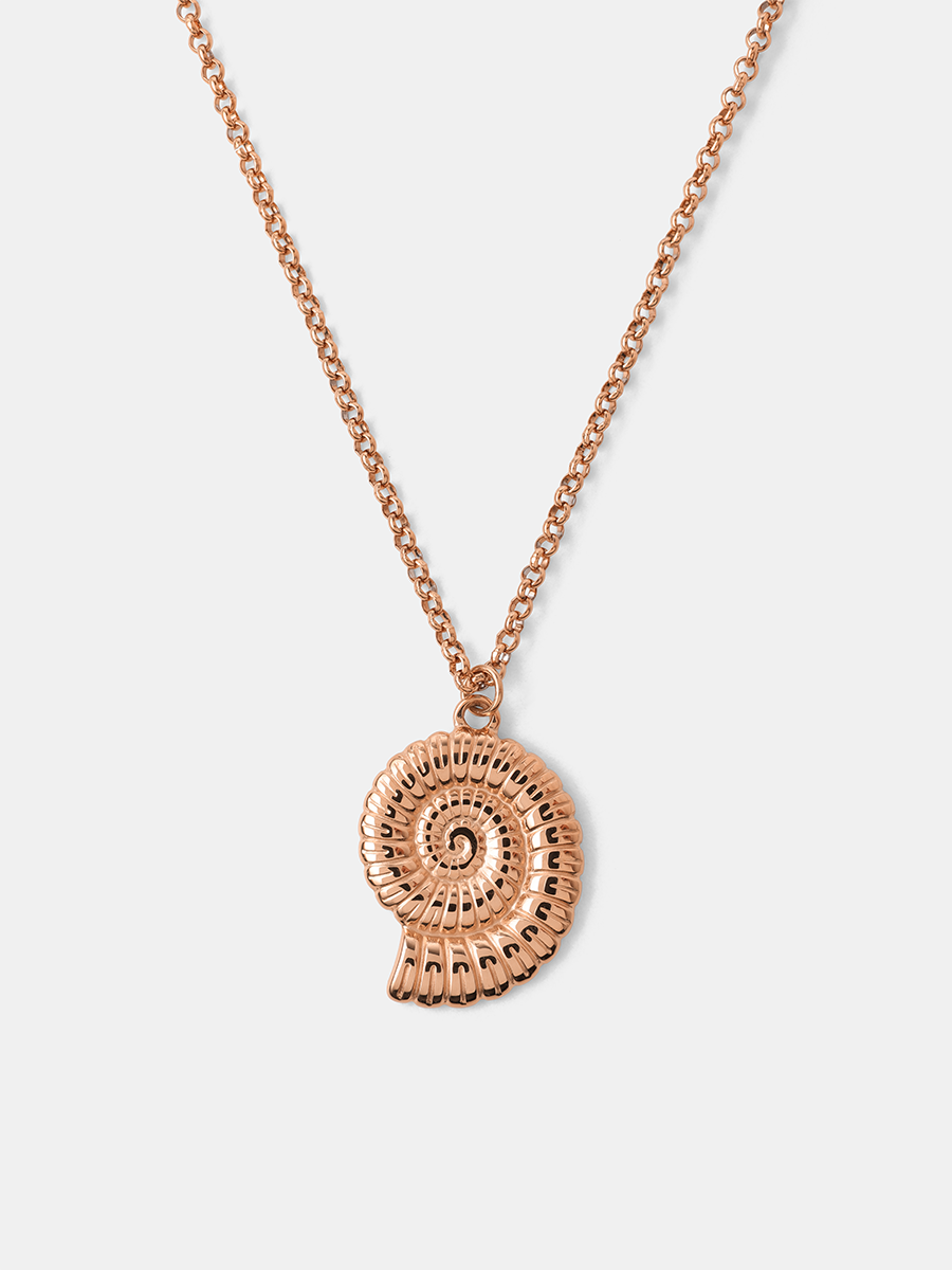 Seashell Treasure Kette