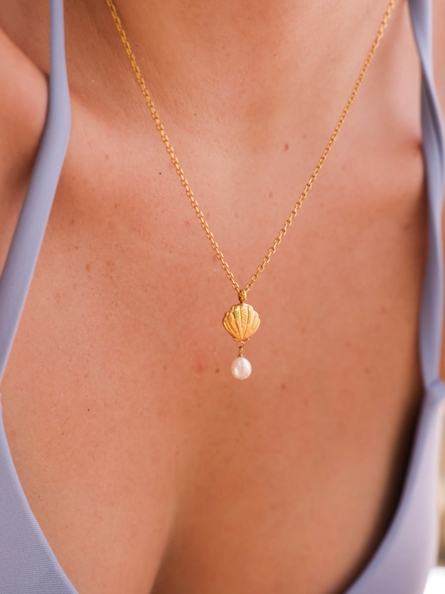Starfall Shell Kette