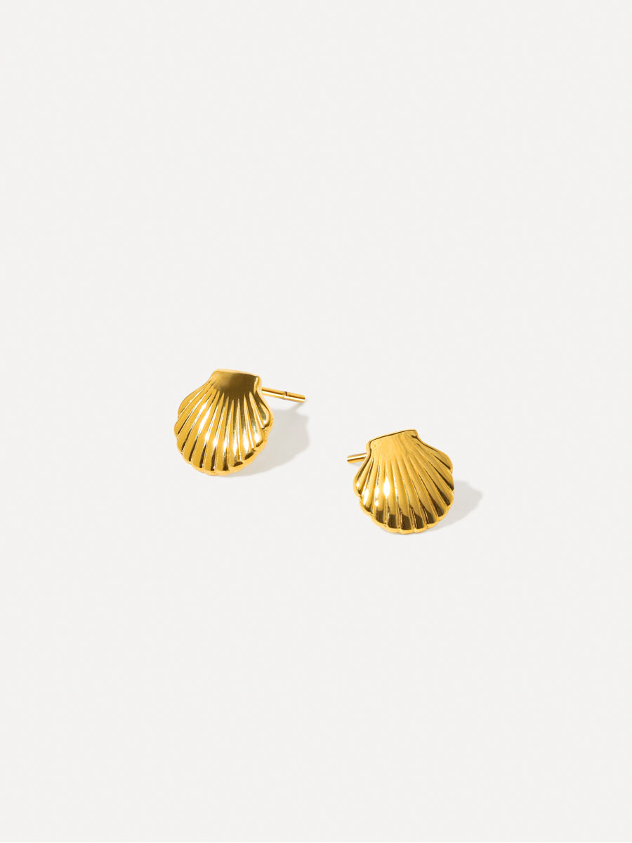 Pure Shell Ohrringe