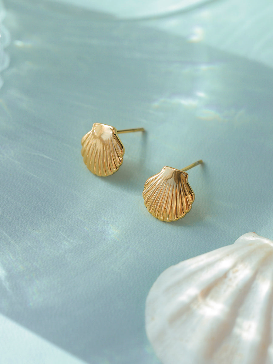 Pure Shell Ohrringe