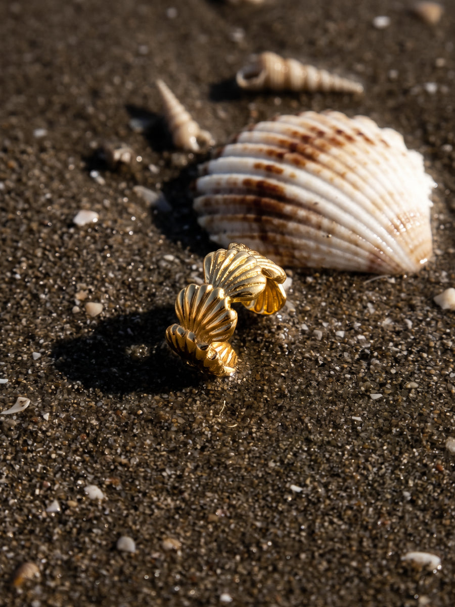 Shell Dream Earcuff