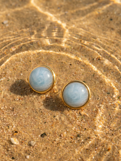 Wandering Wish Light Blue Ohrringe