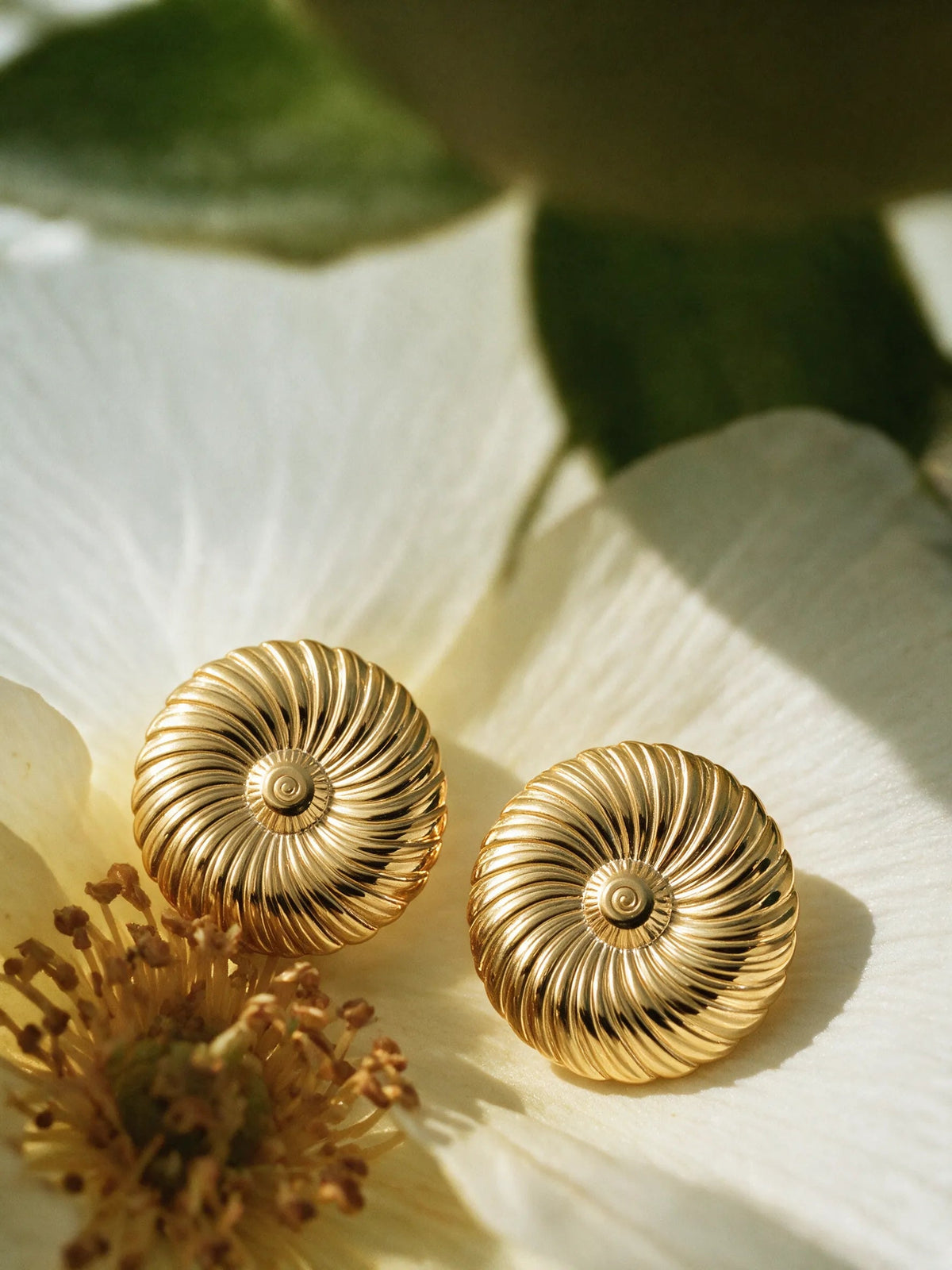 Spiral Harmony Ohrringe
