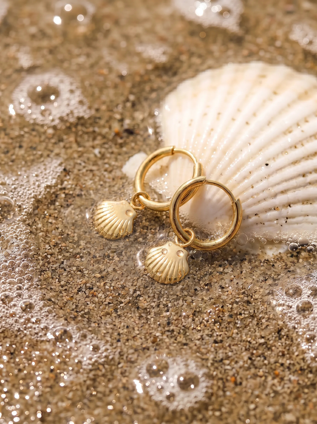 Sunlit Shell Ohrringe