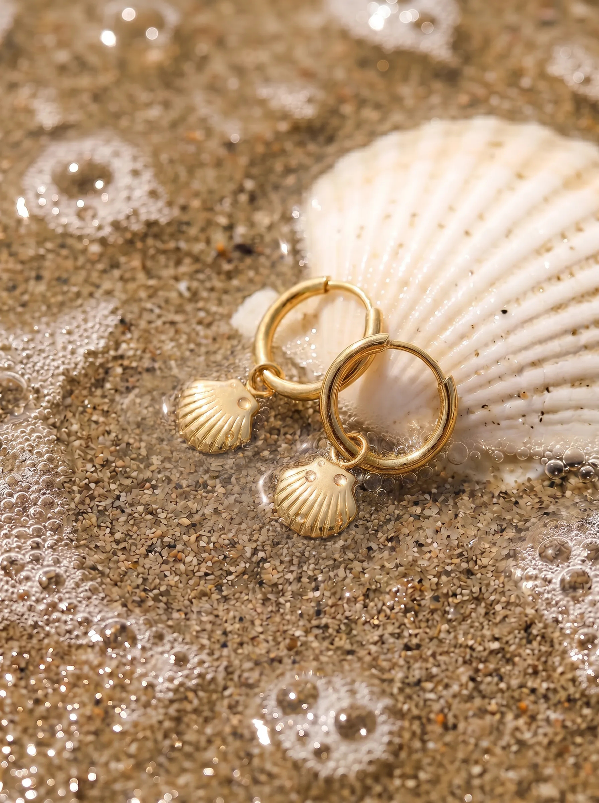 Sunlit Shell Ohrringe