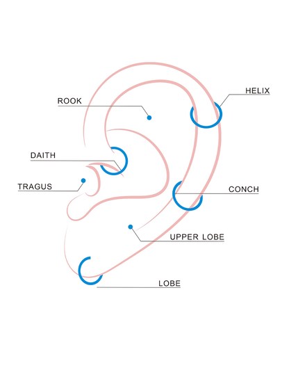 Floral Rhythm Titan Piercing
