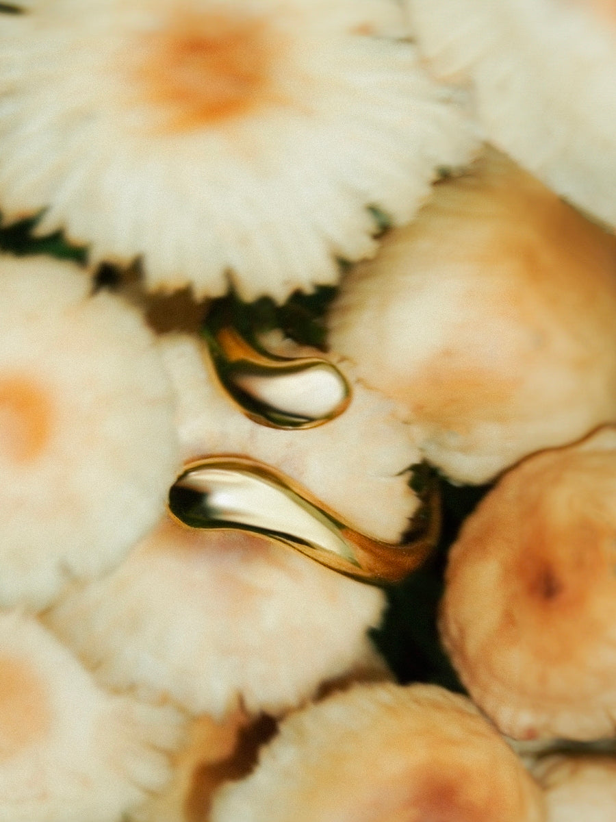 Premium Ring