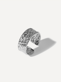 Silber