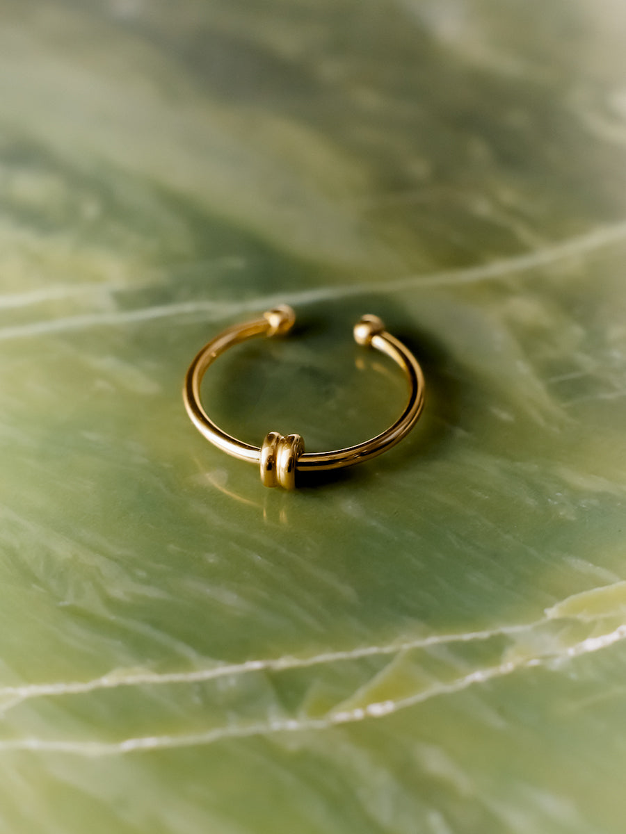 Elegant Duo Loop Ring